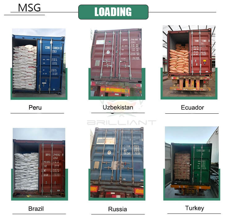 Monosodium Glutamate